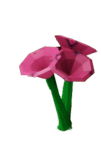 Bee Balm