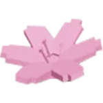 Cherry Blossom