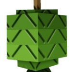 Feijoa