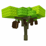 Kiwi (Crop)