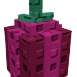Moon Melon