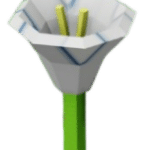 Moonflower