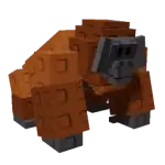 Orangutan