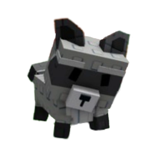 Raccoon